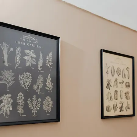 Corte D'appello By Toh Solution Turin