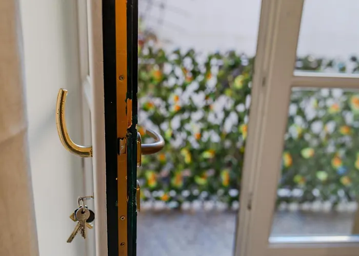 Corte D'appello By Toh Solution